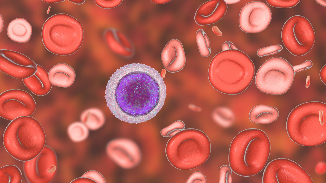 Read more about the article Iron Deficiency – A common condition that can have complex consequences